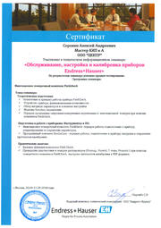 Сертификат Endress+Hauser Обслуживание и калибровка приборов (Сорокин А.А.)